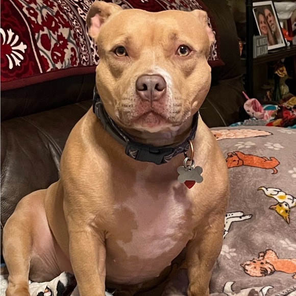 Meet your Posher, Kelly - Picture 8 of 10